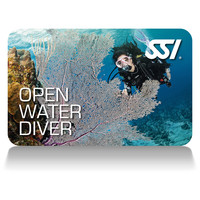 Beginner Tauchkurs Open Water Diver