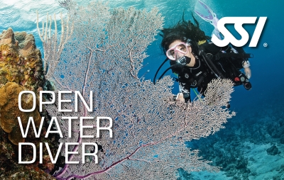 Beginner Tauchkurs Open Water Diver